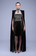 Aarani Dress