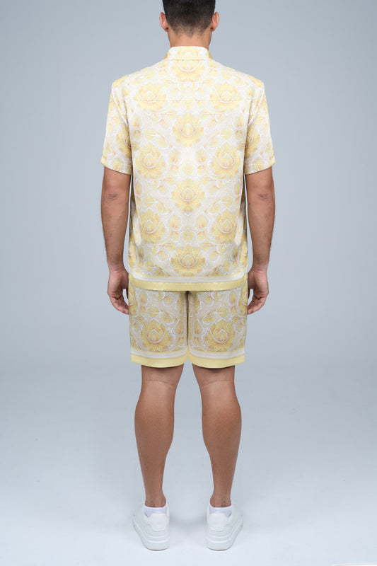 Pisa Set in Ray Flower Yellow